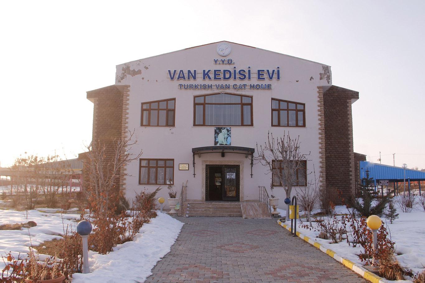 "Van kedilerini il dışına çıkarmayın" "Van kedilerini il dışına çıkarmayın"